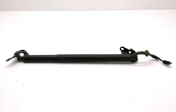 Tailgate strut