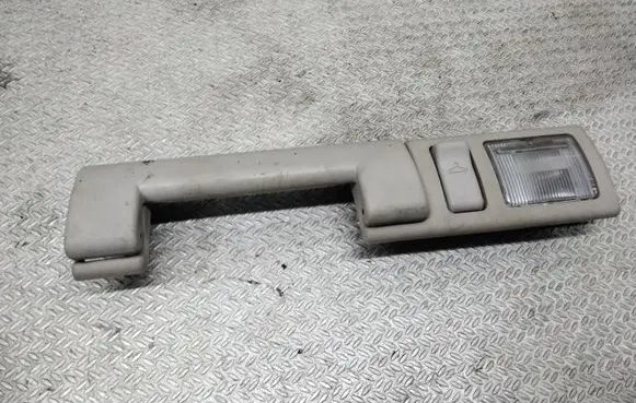 Chrysler Pacifica Rear interior roof grab handle