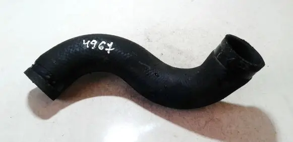 Nissan Juke I F15 Engine coolant pipe/hose