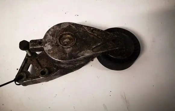 Seat Alhambra (Mk1) Generator/alternator belt tensioner 
