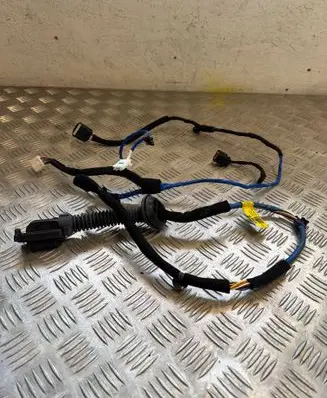 Hyundai Ioniq 5 Rear door wiring loom 91630 G1180 GT180