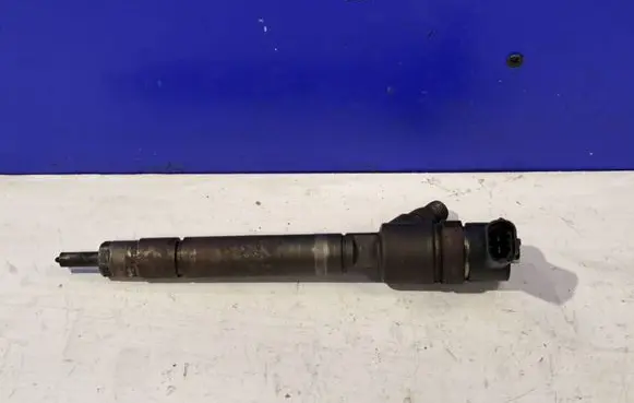 Volvo V70 Fuel injector 0445110298 36000574
