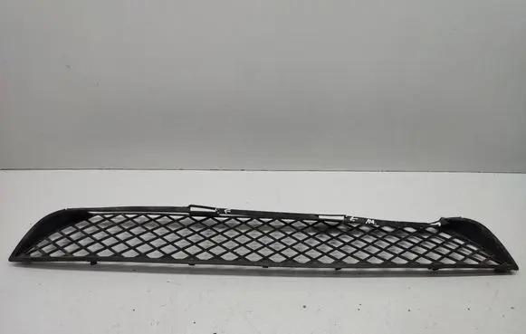 Mercedes-Benz Sprinter W906 Front bumper lower grill A9068850053
