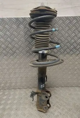 Toyota RAV 4 (XA40) Front shock absorber/damper 
