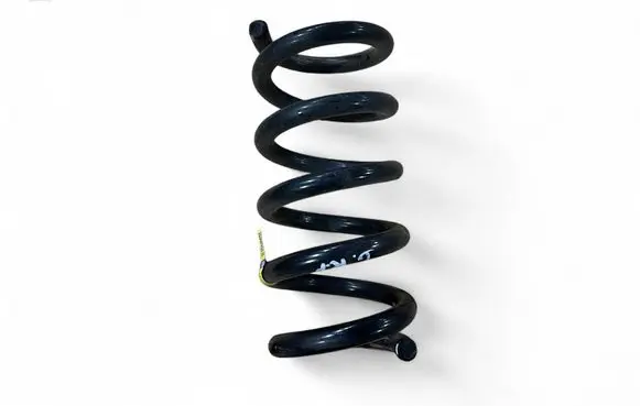 Rear coil spring