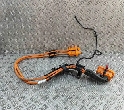 Audi Q4 Sportback e-tron Other wiring loom 1EA971015T