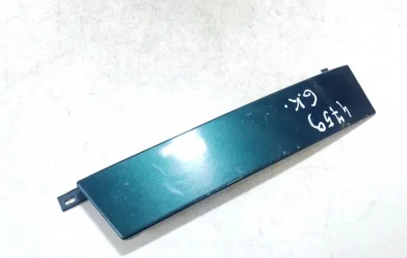Rear/tail light trim molding