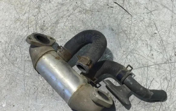Hyundai H-1, Starex, Satellite EGR valve