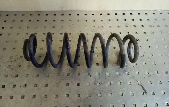 Volkswagen PASSAT B7 Rear coil spring