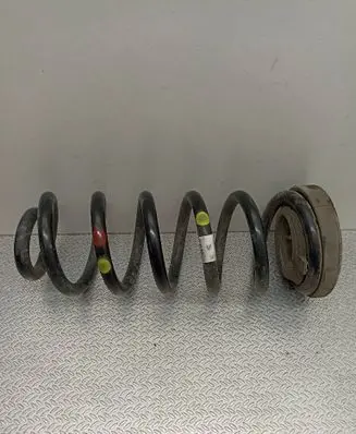 Rear coil spring