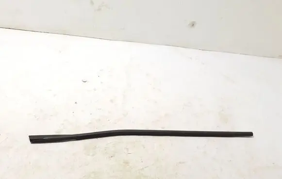 Rear door trim (molding)