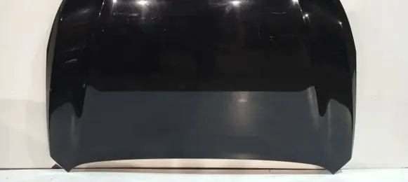 Engine bonnet/hood