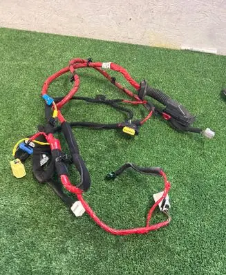 Hyundai Ioniq 5 Front door wiring loom 91981AA010