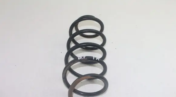 Audi A4 S4 B7 8E 8H Front coil spring