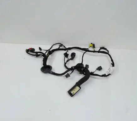 Audi A8 S8 D4 4H Front door wiring loom 4H0971030HQ