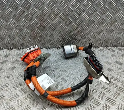 Toyota Prius+ (ZVW40) Other wiring loom G214847051