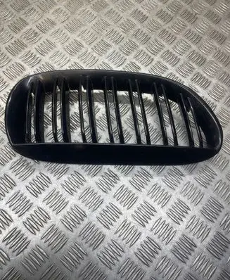 BMW 3 E90 E91 Front grill 