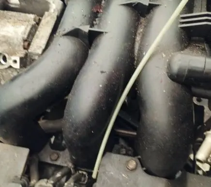 Subaru B9 Tribeca Intake manifold