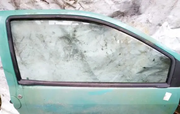 Renault Twingo I Front door