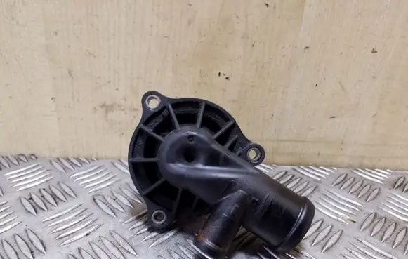 Thermostat/thermostat housing