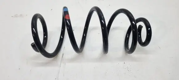 Renault Clio V Rear coil spring 550206884R