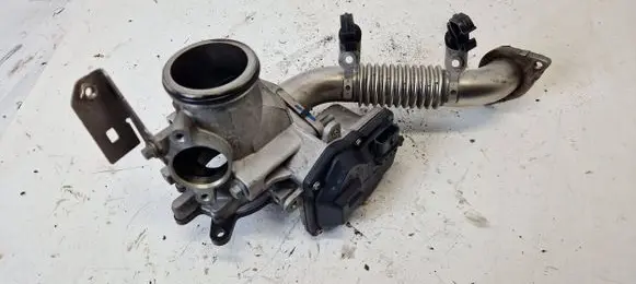 Land Rover Range Rover Evoque L538 Throttle body valve G4D3-5H273-BB