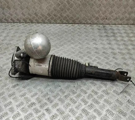 Volkswagen Phaeton Shock absorber/damper/air suspension 3D0616001F