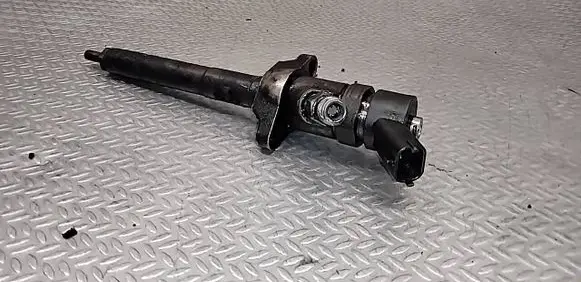 Peugeot 307 Fuel injector 0445110239