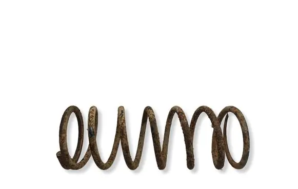Land Rover Discovery Front coil spring 