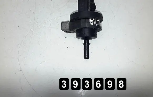 Dacia Dokker Vacuum valve 2580119a