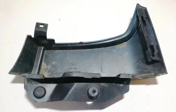Rear/tail light trim molding