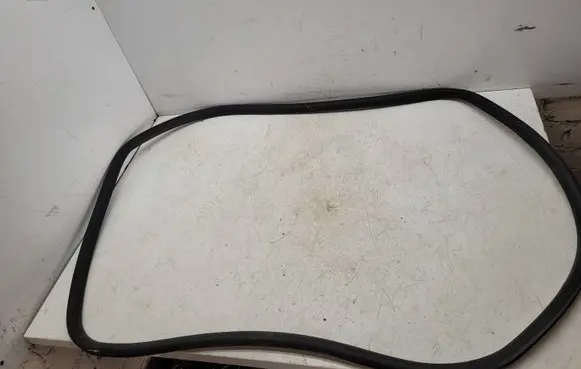 Volkswagen PASSAT B6 Front door rubber seal