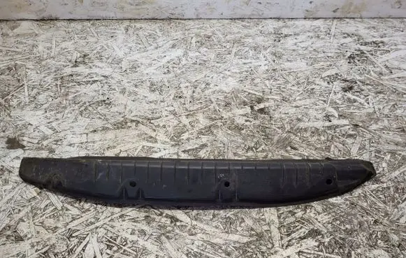 Mercedes-Benz R W251 Fender end trim 2518890125