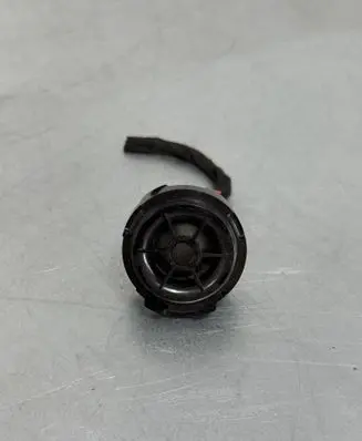 Front door high frequency speaker
