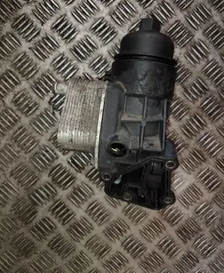 KIA Ceed Oil filter mounting bracket 264102A300