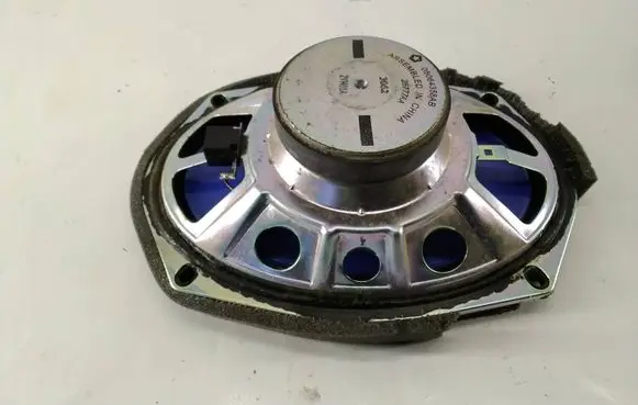 Front door speaker