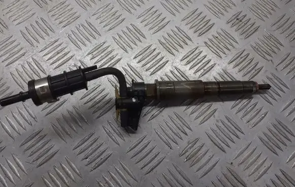 Renault Scenic II - Grand scenic II Fuel injector 505056AH8