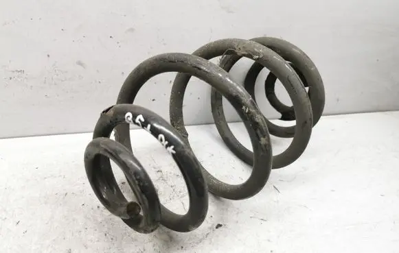 Volkswagen PASSAT B5.5 Rear coil spring