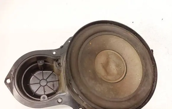 Volkswagen PASSAT B6 Front door speaker 