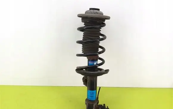 Opel Signum Front shock absorber with coil spring