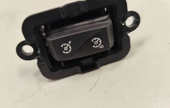 Renault Megane III Cruise control switch 1015009001