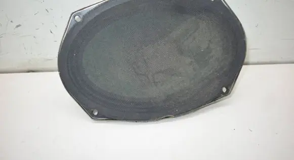 Dodge Grand Caravan Front door speaker 05091019AB