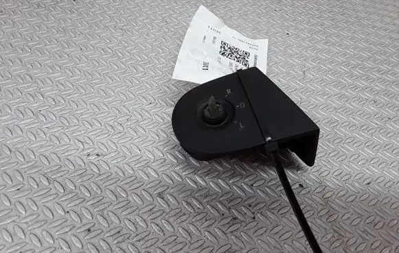 Wing mirror switch