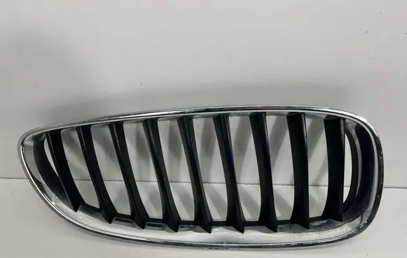 BMW Z4 E89 Front bumper upper radiator grill 40502055 10627110