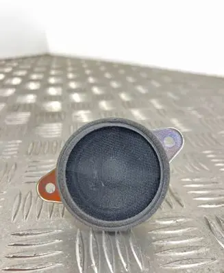 Panel speaker
