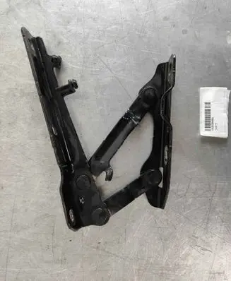 Tesla Model S Engine bonnet/hood hinges 102928400C