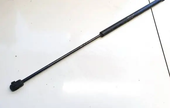 Tailgate/trunk strut/damper