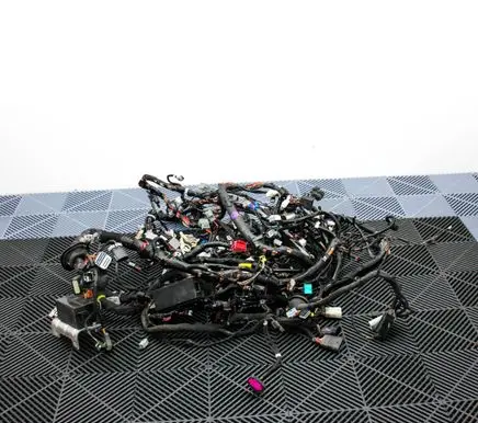 Tesla Model S Other wiring loom 100441693N