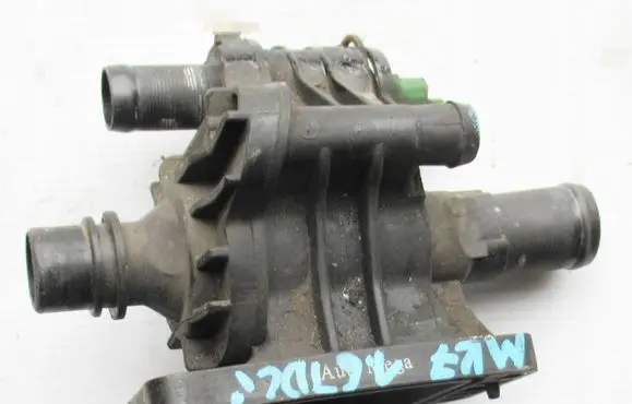 Thermostat/thermostat housing