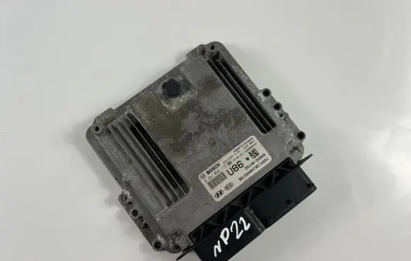 Engine control unit/module ECU